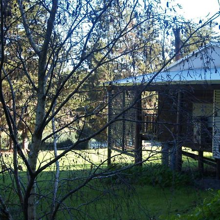 Hawke Brook Chalets بيمبرتون المظهر الخارجي الصورة