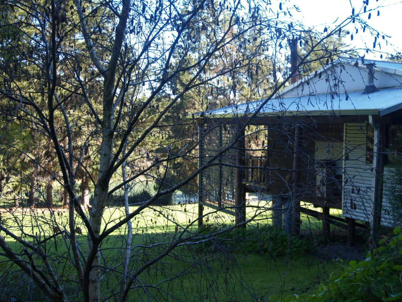 Hawke Brook Chalets بيمبرتون المظهر الخارجي الصورة