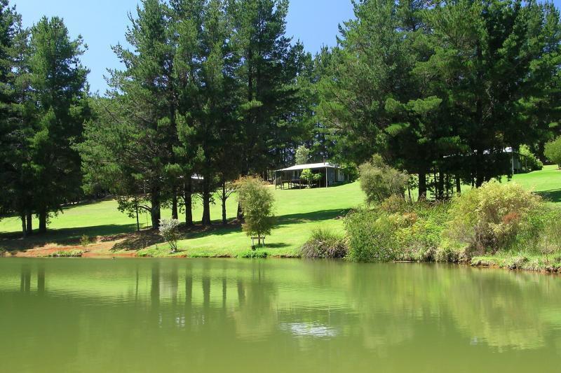 Hawke Brook Chalets بيمبرتون المظهر الخارجي الصورة