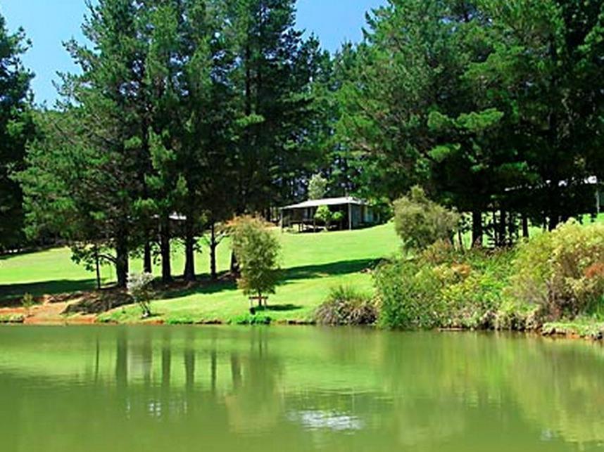 Hawke Brook Chalets بيمبرتون المظهر الخارجي الصورة
